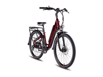 RadCity 5 Plus Electric Commuter Bike