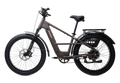 Monarc Marker High-Step Cedar electric bike